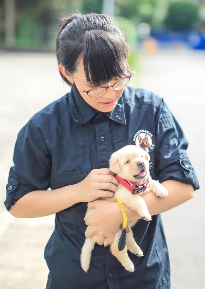 New Taipei Police Department k9 unit puppies 8