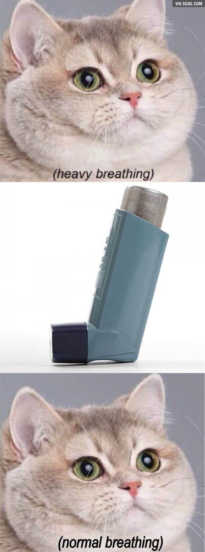 asthma memes 14