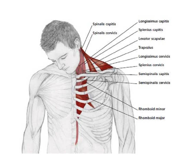 how to release tension in your neck 4