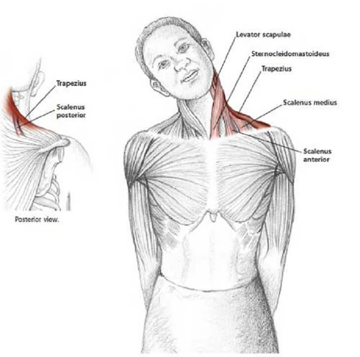 how to release tension in your neck