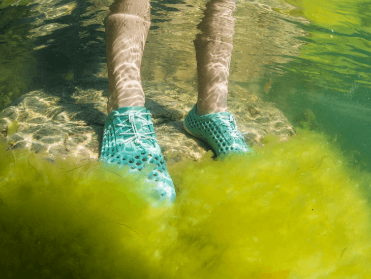 Sustainable Sneakers made of algae 3