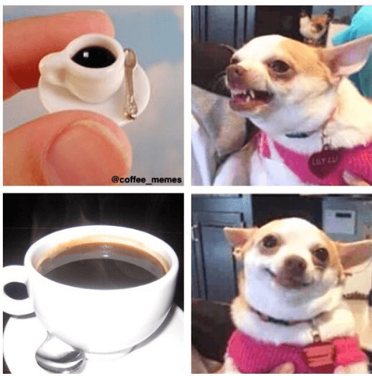 48 Hilarious Coffee Memes That will Make Your Morning Brighter