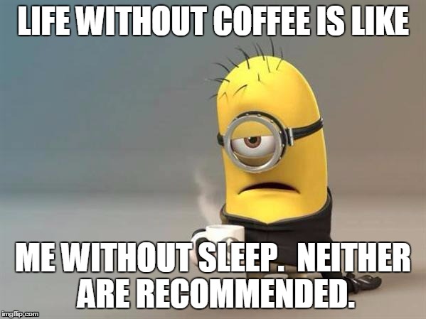 48 Hilarious Coffee Memes That Will Make Your Morning Brighter