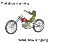 dat boi daily dot 3 (1)