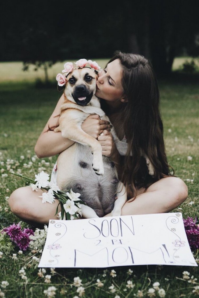 Let Us Show You a Very Cute Dog Maternity Shoot, Like You've Never Seen