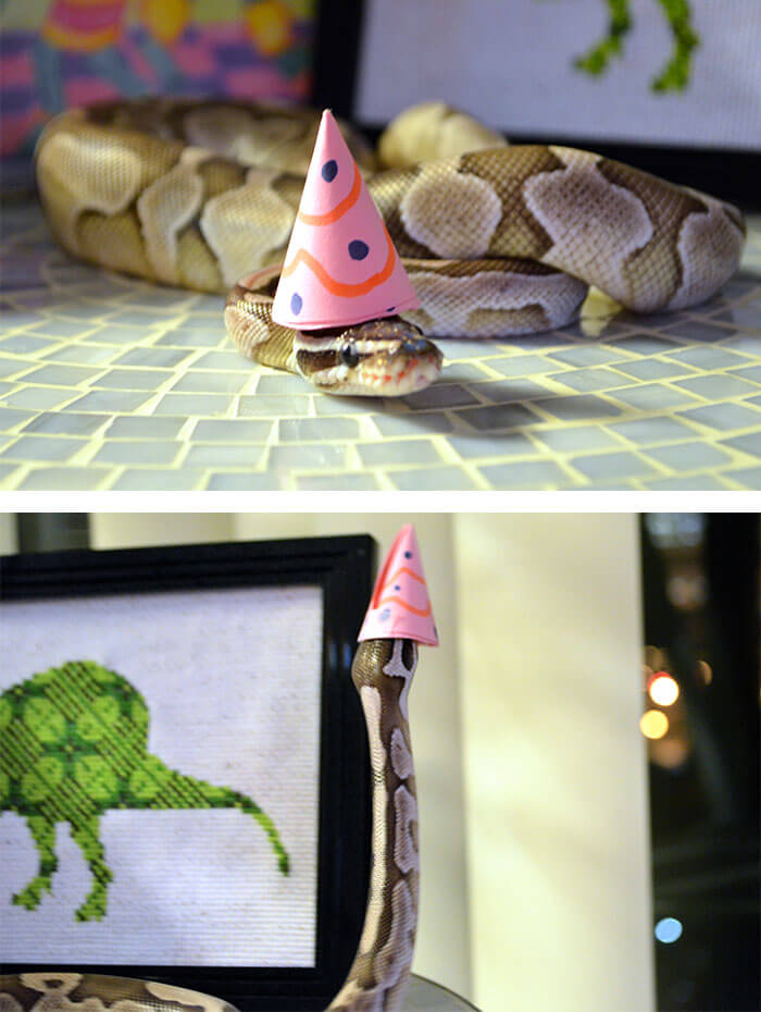 snakes in hats 12 (1)