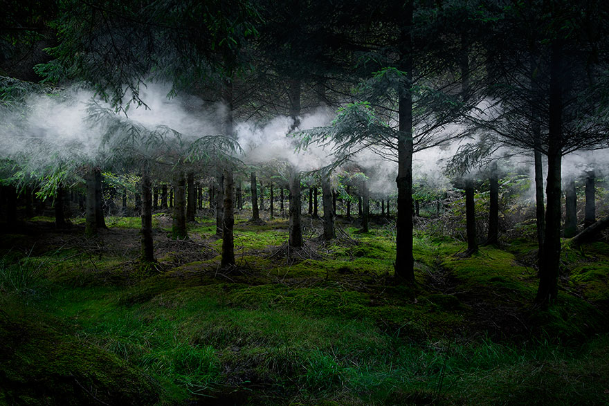 surreal forest photos ellie davies (1)