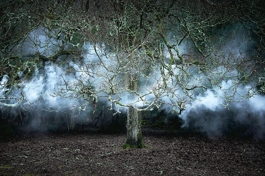 surreal forest photos ellie davies 22 (1)