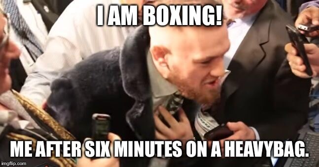 Floyed Mayweather Conor McGregor memes 8 (1)