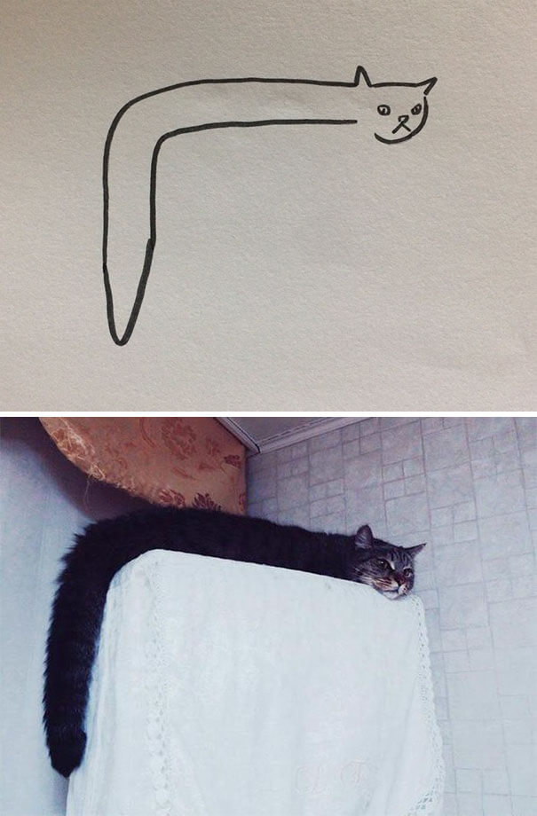 cat drawing