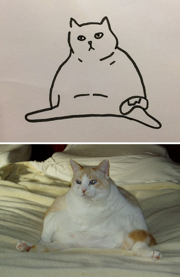 kitten drawing 14