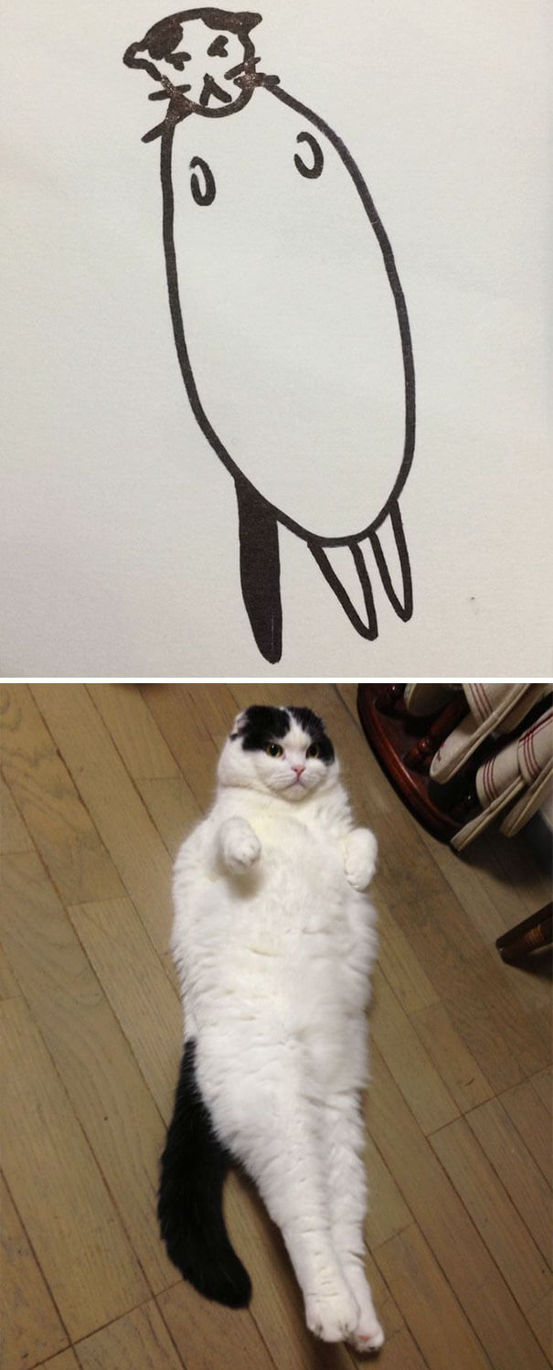 26 Cat Drawing Examples That Are Just So On Point