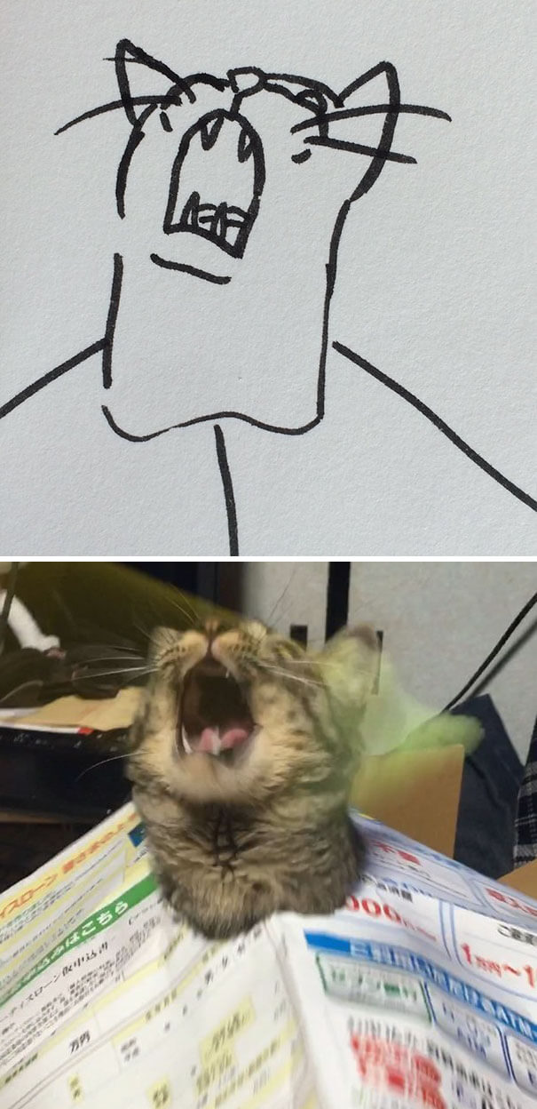 kitten drawing 17