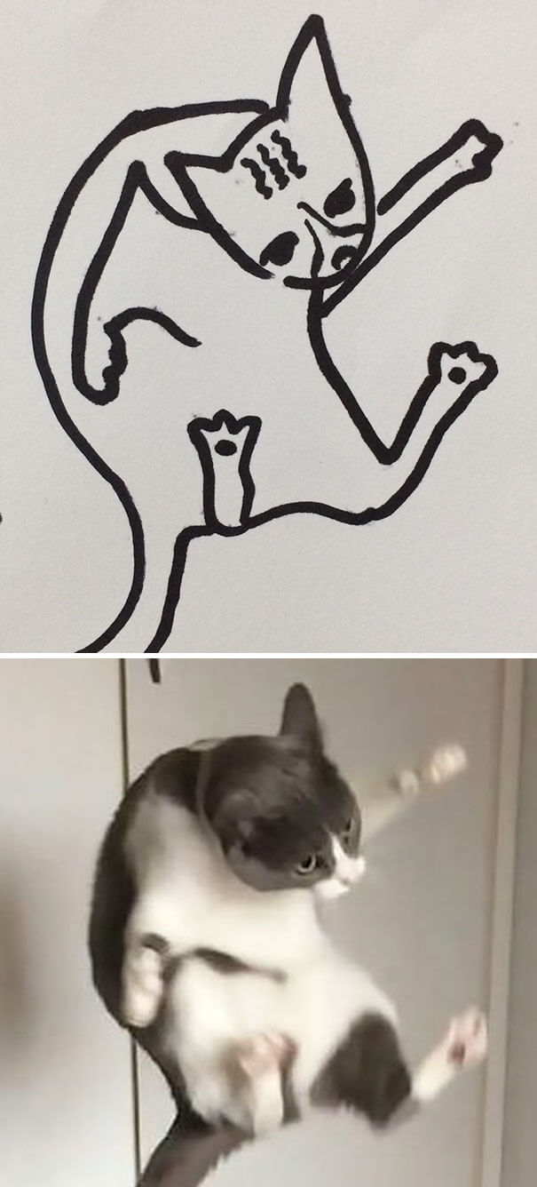 kitten drawing 19