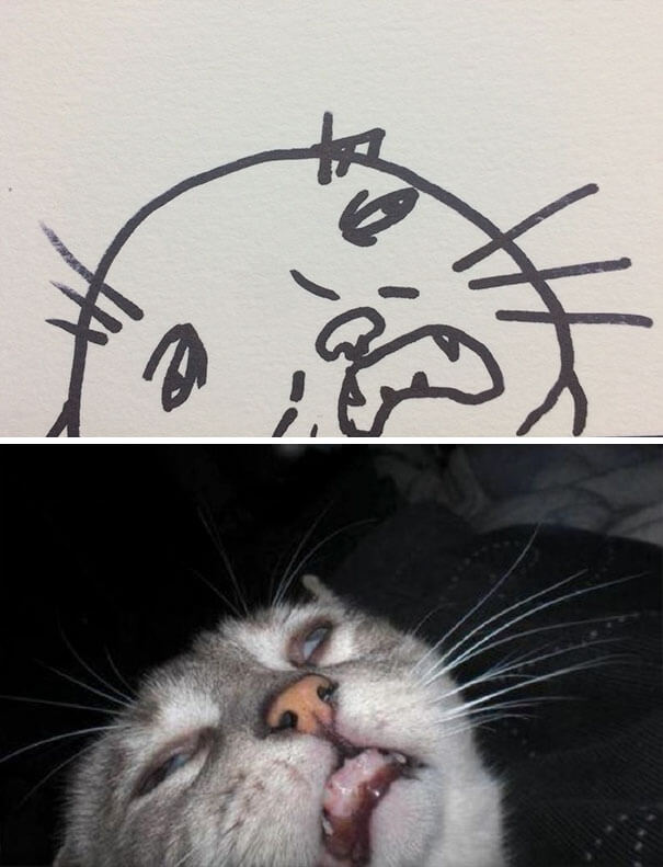 cat drawing 2