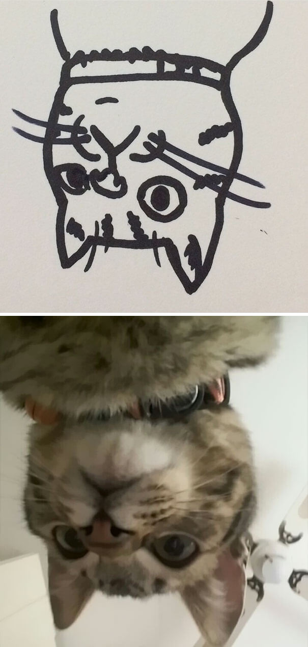 kitten drawing 20
