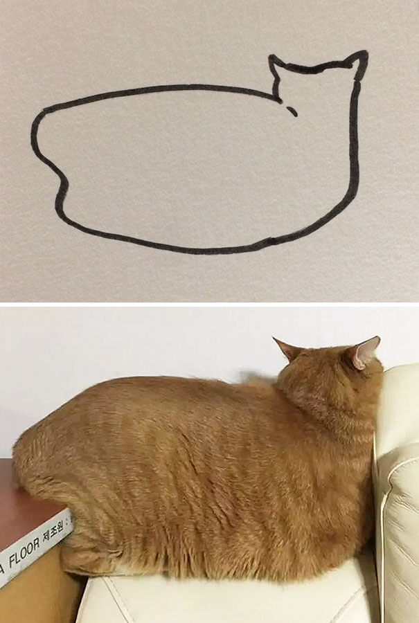 kitten drawing 21