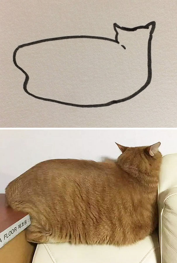 26 Cat Drawing Examples That Are Just So On Point