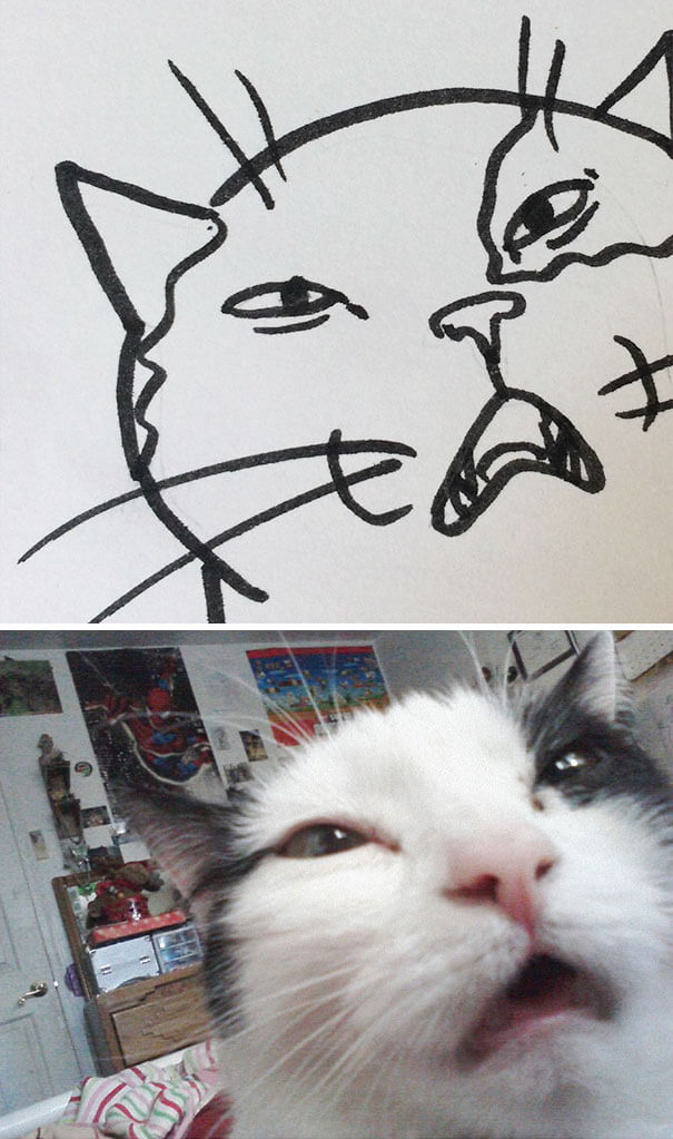 kitten drawing 23