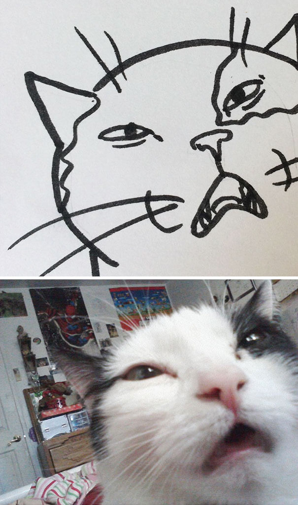 26 Cat Drawing Examples That Are Just So On Point