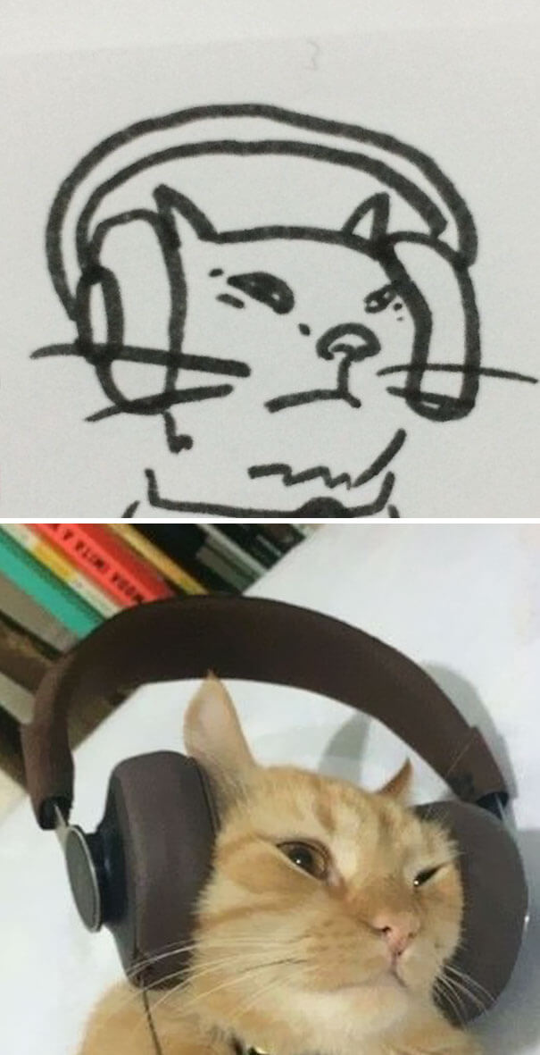 26 Cat Drawing Examples That Are Just So On Point