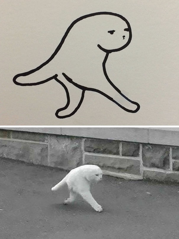 26 Cat Drawing Examples That Are Just So On Point