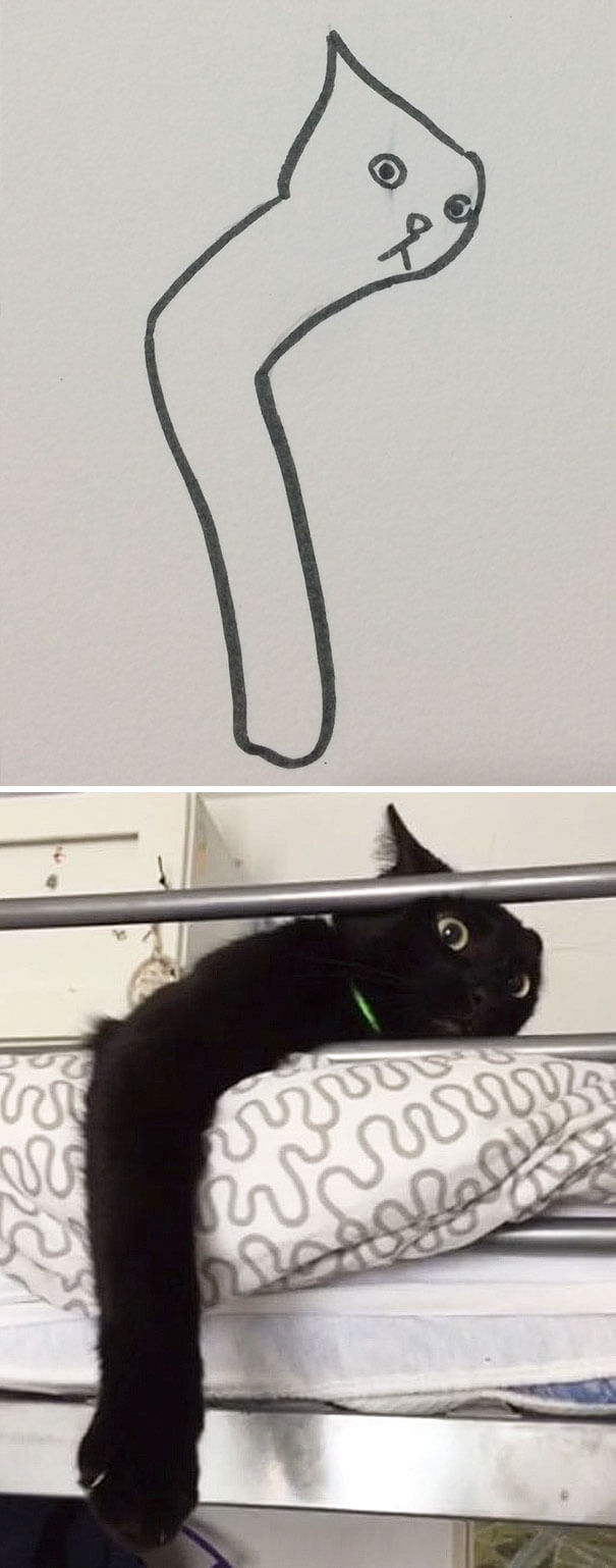 26 Cat Drawing Examples That Are Just So On Point