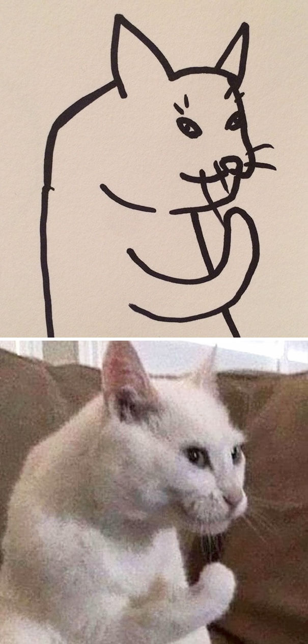 26 Cat Drawing Examples That Are Just So On Point