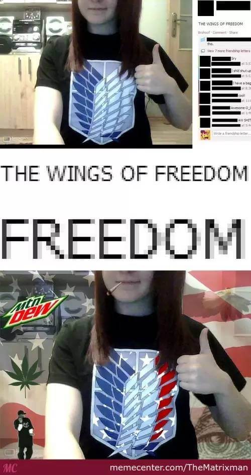 26 Freedom Meme Pictures To Remind You That Being Free Is ...