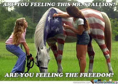 26 Freedom Meme Pictures To Remind You That Being Free Is a Privilege