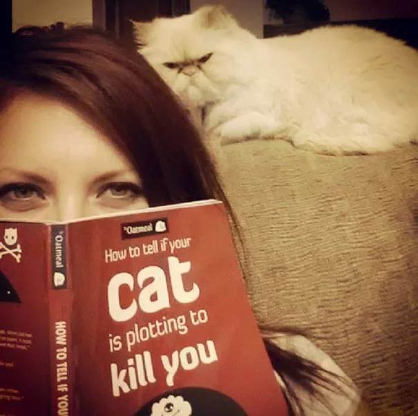 How to Tell If Your Cat Is Plotting to Kill You (The Oatmeal) by The Oatmeal