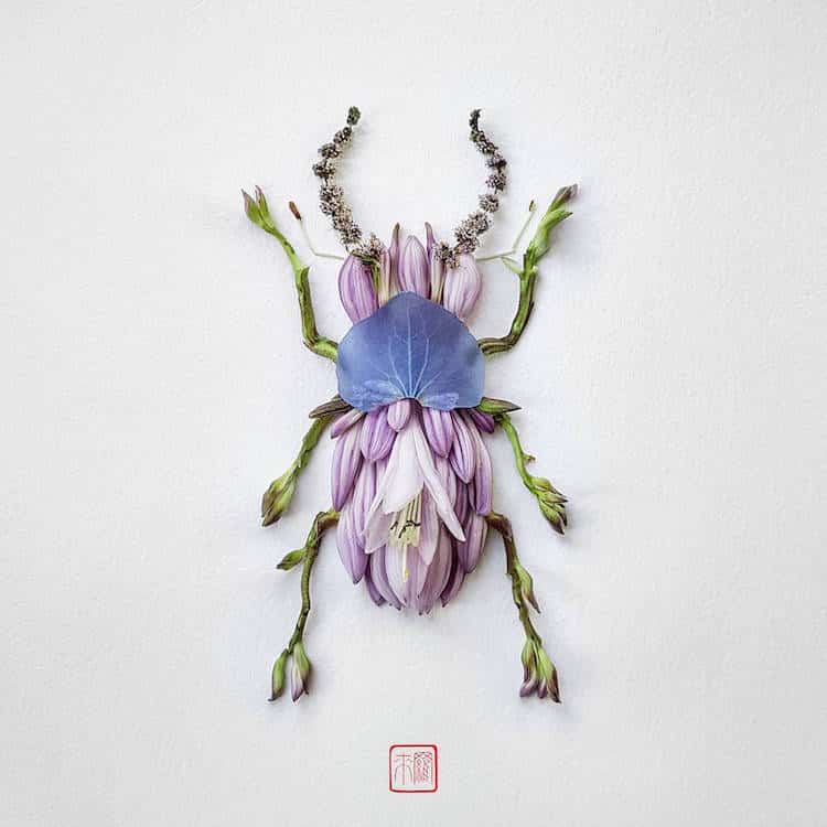 raku inoue insects from flowers (1)