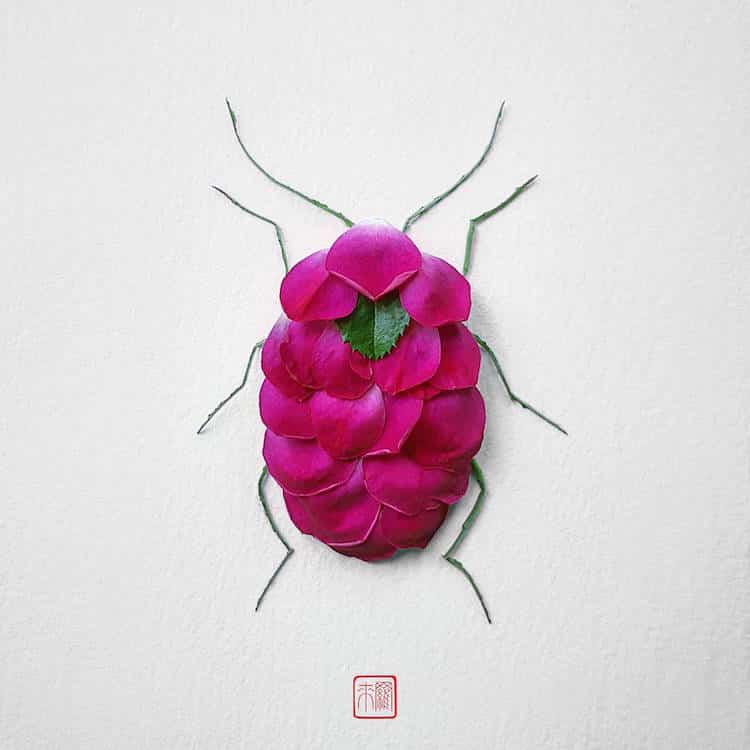 raku inoue insects from flowers 2 (1)