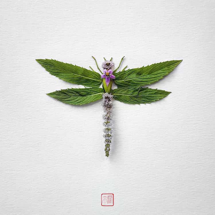 raku inoue insects from flowers 5 (1)