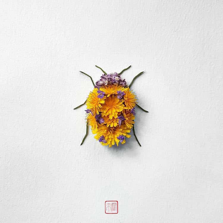 raku inoue insects from flowers 6 (1)