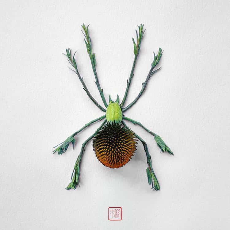 raku inoue insects from flowers 8 (1)