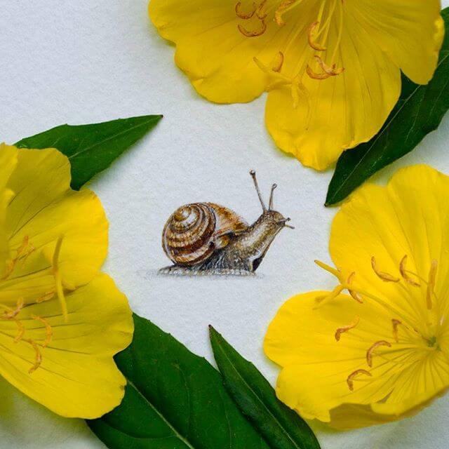 snail (1)