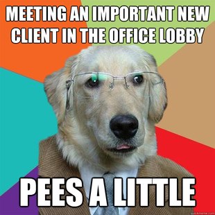 Business Dog pics 15