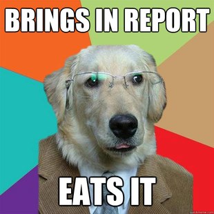 Business Dog images 20