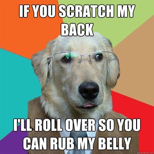 Business Dog Meme 25