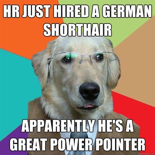 Business Dog Meme 26