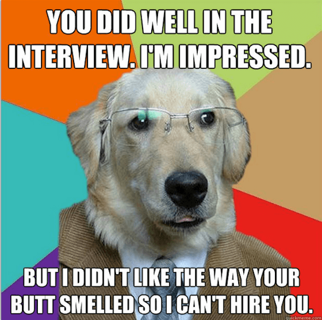 Business Dog puns 8 (1)