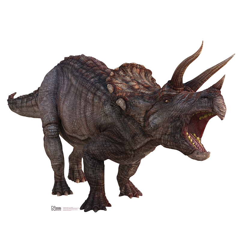 13 Pachycephalosaurus Facts That Will Dig Deep In Your Brain