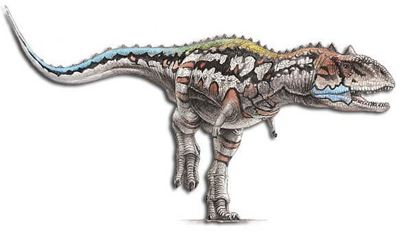 Majungasaurus facts 7 (1)