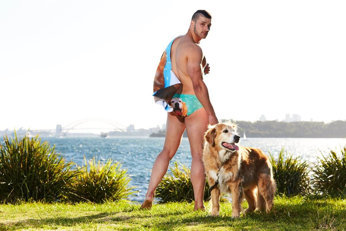 Petflair dog swimsuit 2 (1)