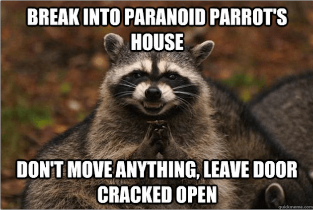 evil plotting raccoon (1)