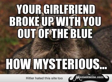 evil raccoon meme 16 (1)