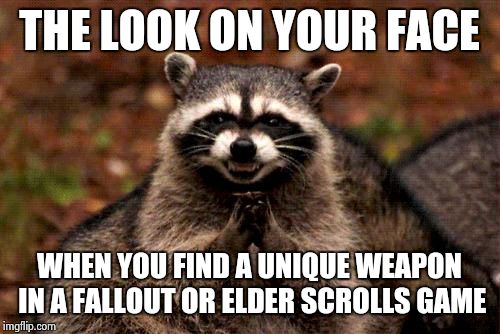 evil raccoon meme 17 (1)