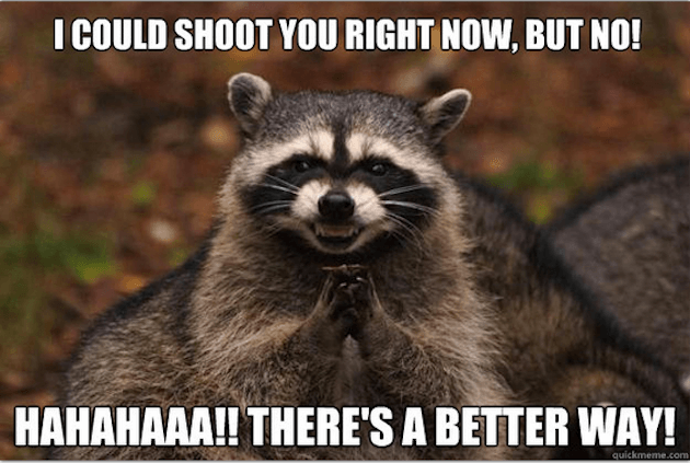 evil raccoon meme 3 (1)