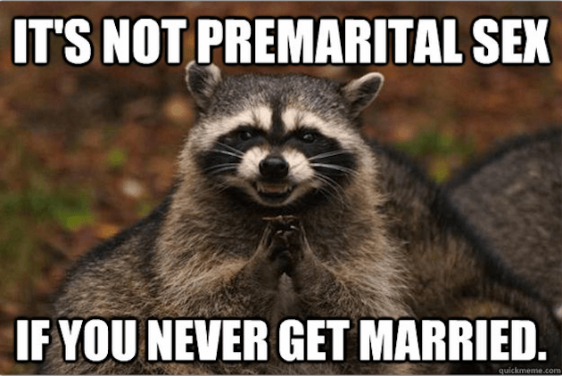 evil raccoon meme 4 (1)